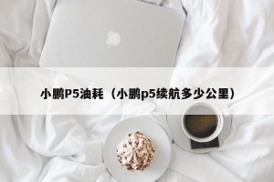 小鹏P5油耗（小鹏p5续航多少公里）