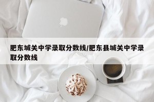 肥东城关中学录取分数线/肥东县城关中学录取分数线