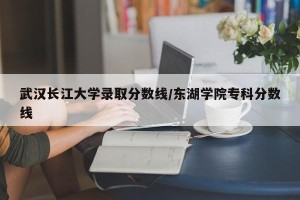 武汉长江大学录取分数线/东湖学院专科分数线