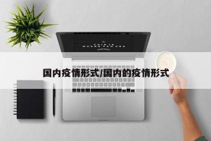 国内疫情形式/国内的疫情形式