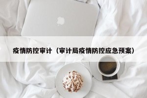 疫情防控审计（审计局疫情防控应急预案）